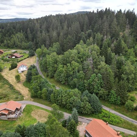 Chalet L'Appel De La Foret Gérardmer Extérieur photo