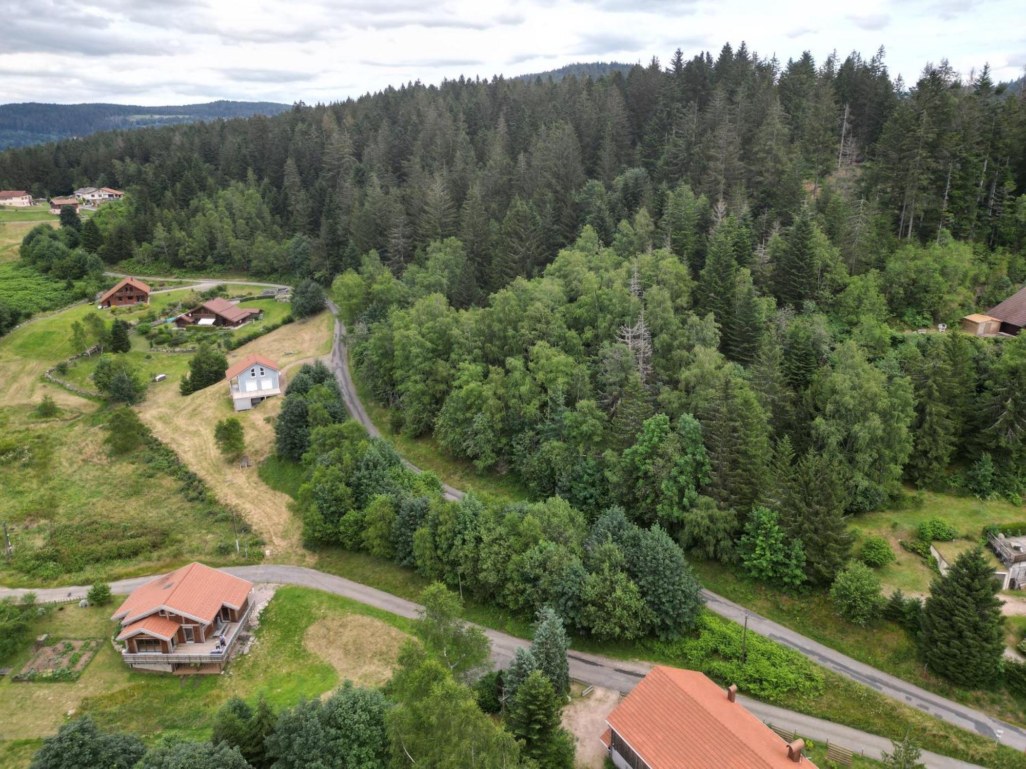 Chalet L'Appel De La Foret Gérardmer Extérieur photo