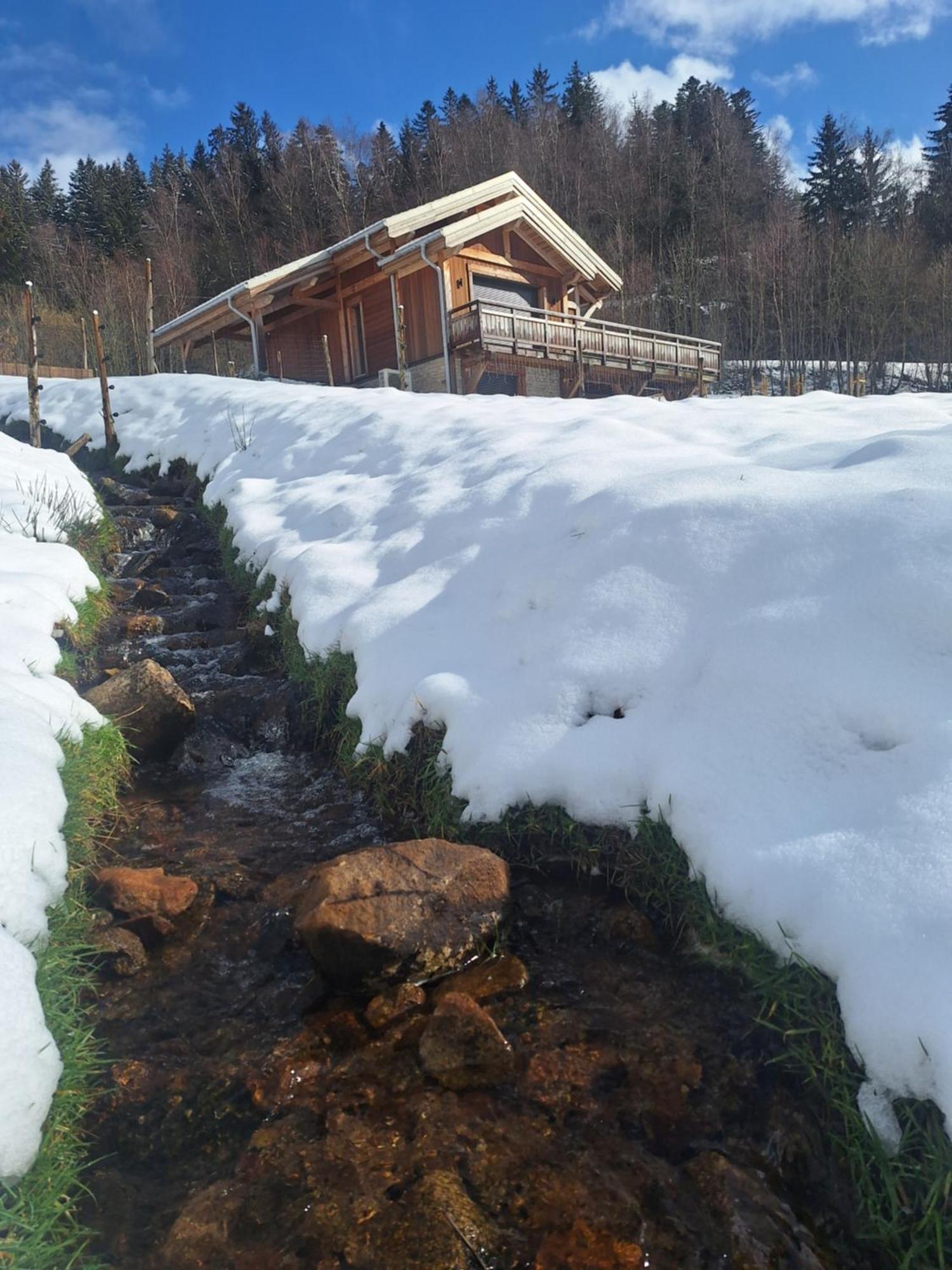 Chalet L'Appel De La Foret Gérardmer Extérieur photo